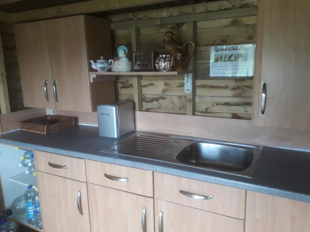 Ruby Shepherds Hut Sleeps 4 Rhayader Exterior foto